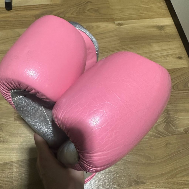 LAD 복싱글러브 10온스--2