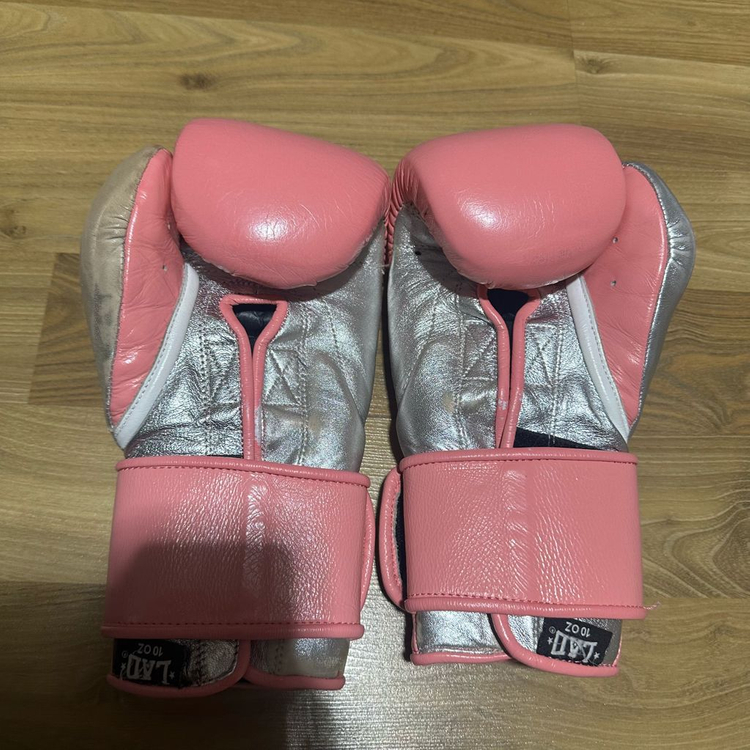 LAD 복싱글러브 10온스--1