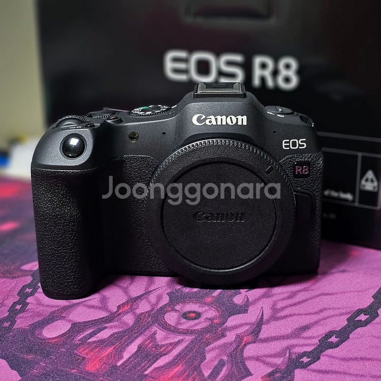 캐논 EOS R8 미러리스 카메라--0