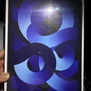 아이패드 에어5 64기가 셀룰러 블루