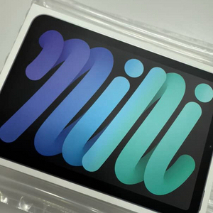 아이패드 미니 7 스페이스 그레이 wi-fi 128GB 미개봉
