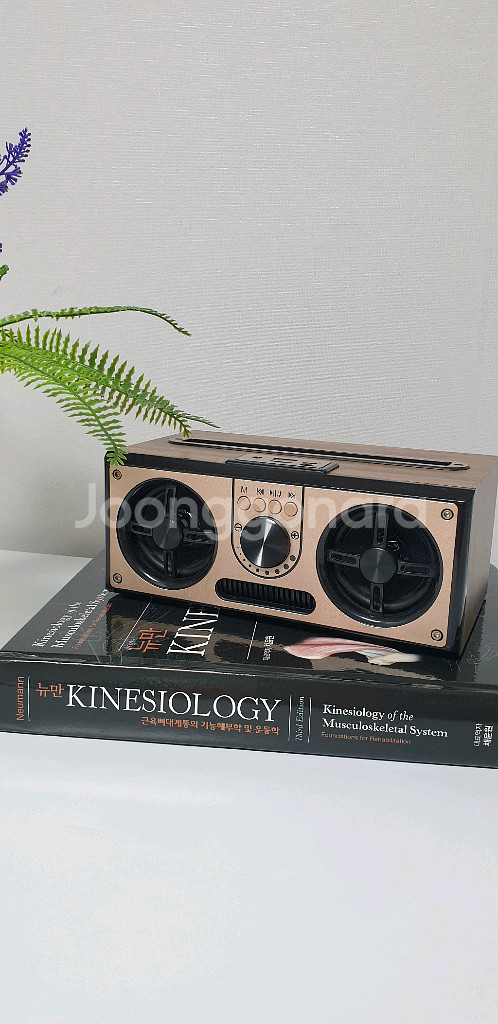 세비즈 RETRO20W 우드 블루투스 스피커--1