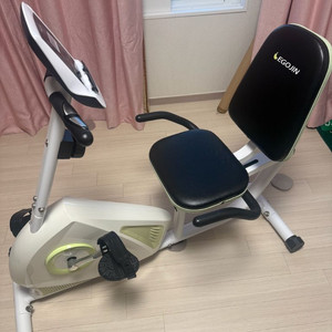 이고진 실내 자전거 266