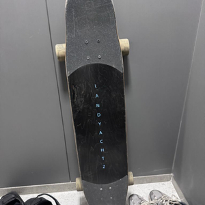 랜디아츠 롱보드 스캐이드 보드