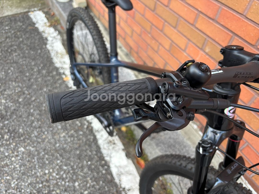 2025년식 첼로 크로노50 MTB--8