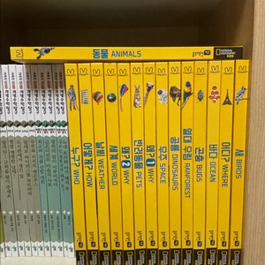 내셔널지오그래픽 키즈 빅북 전집