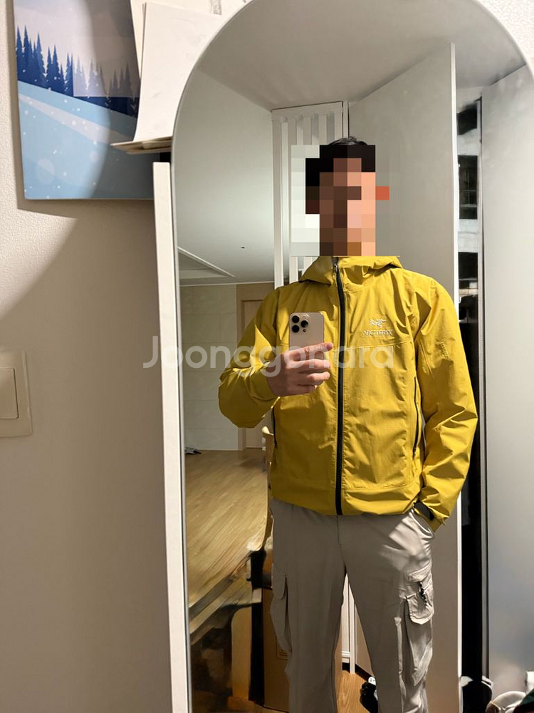 아크테릭스 베타sl 고어택스 자켓--8