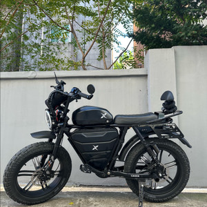 엑스라이더200pro 전기자전거 풀옵션 팝니다.