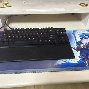 레이저 헌츠맨 v3 pro tkl