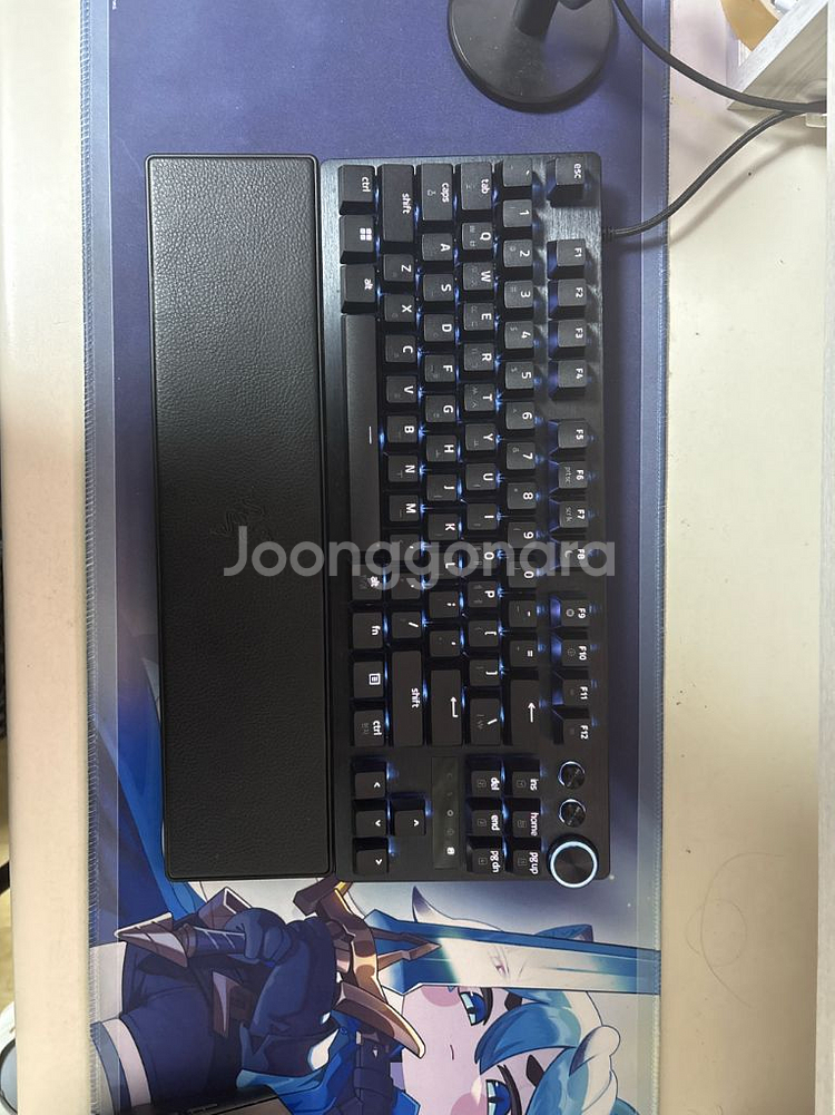 레이저 헌츠맨 v3 pro tkl--1