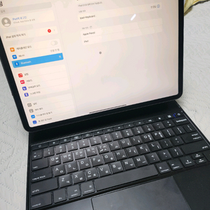아이패드 프로4세대 12.9인치 256기가 와파 팝니다