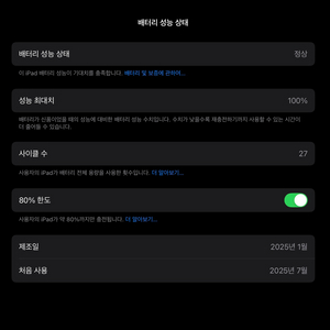 아이패드 m4 13인치