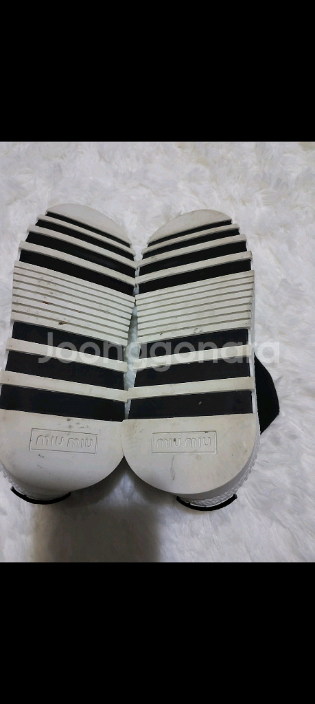 미우미우 니트 삭스스니커즈37(정품)--9