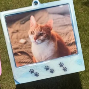 미니액자 레진몰드 판매 (몰드 사진 포함)