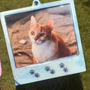 미니액자 레진몰드 판매 (몰드 사진 포함)