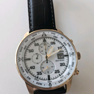 CITIZEN 시티즌 에코드라이브 나침반 시계