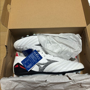 미즈노 모렐리아 네오4 프로 ag 260