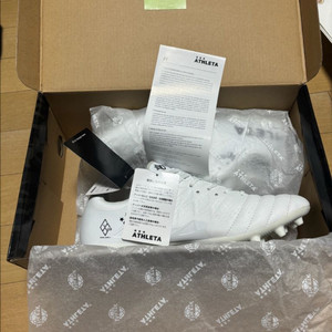 아슬레타 H5 mg 260