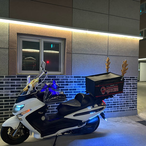 보이져 300 판매