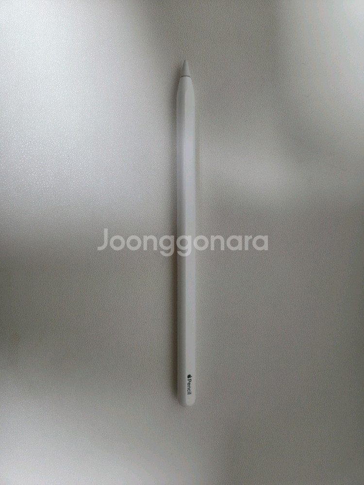 애플펜슬 2세대--0