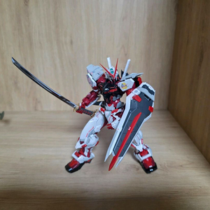 하이 레졸루션 레드 프레임 가조 팝니다