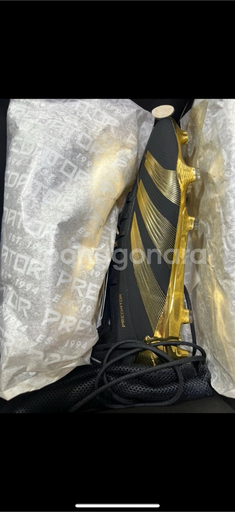 아디다스 프레데터 FT 벨링엄 (265)--6