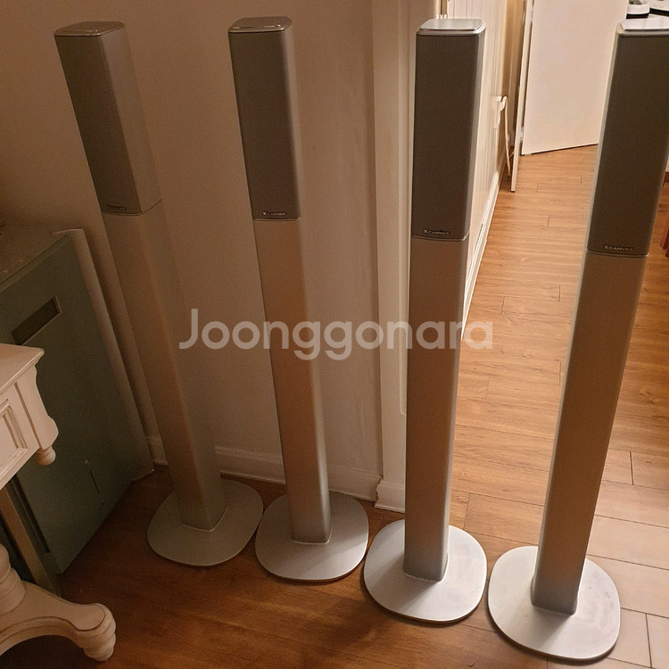 DVD 플레이어 & Xcanvas 스피커 수납장, 서라운드 스피커 4개--1