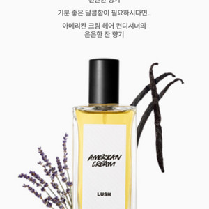 [새상품] 러쉬 아메리칸 퍼퓸 100ml