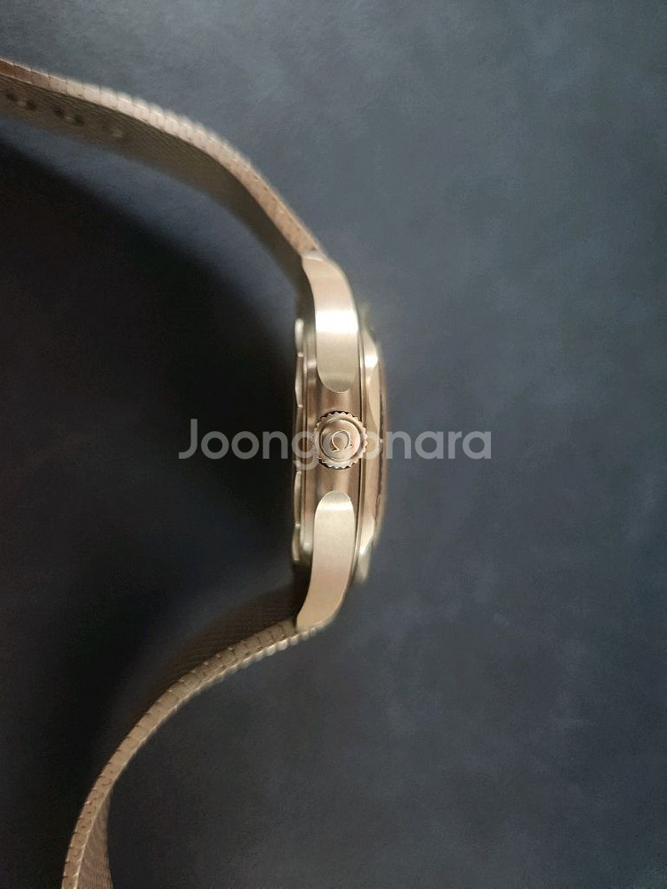 [급처]오메가 씨마스터 노타임투다이 nttd--2