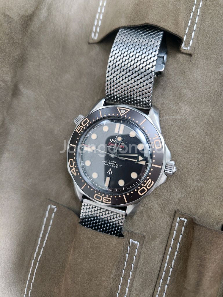 [급처]오메가 씨마스터 노타임투다이 nttd--5