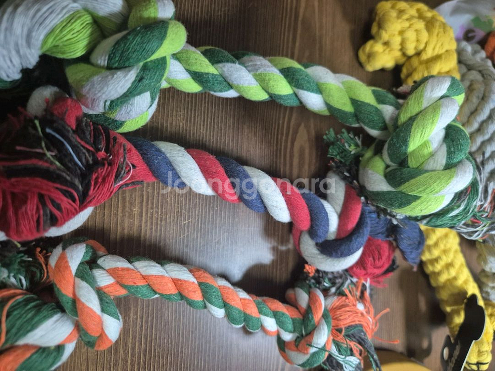 강아지, 고양이 장난감들--1