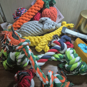 강아지, 고양이 장난감들