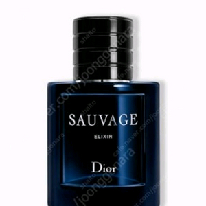 디올 소바쥬 엘릭서 리모퓰전 구버전 구해요