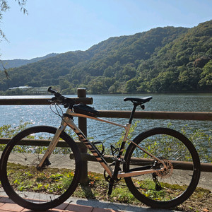 자이언트 패스트로드 AR1 하이브리드 자전거