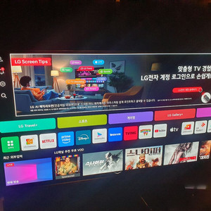 LG 65인치 OLED TV