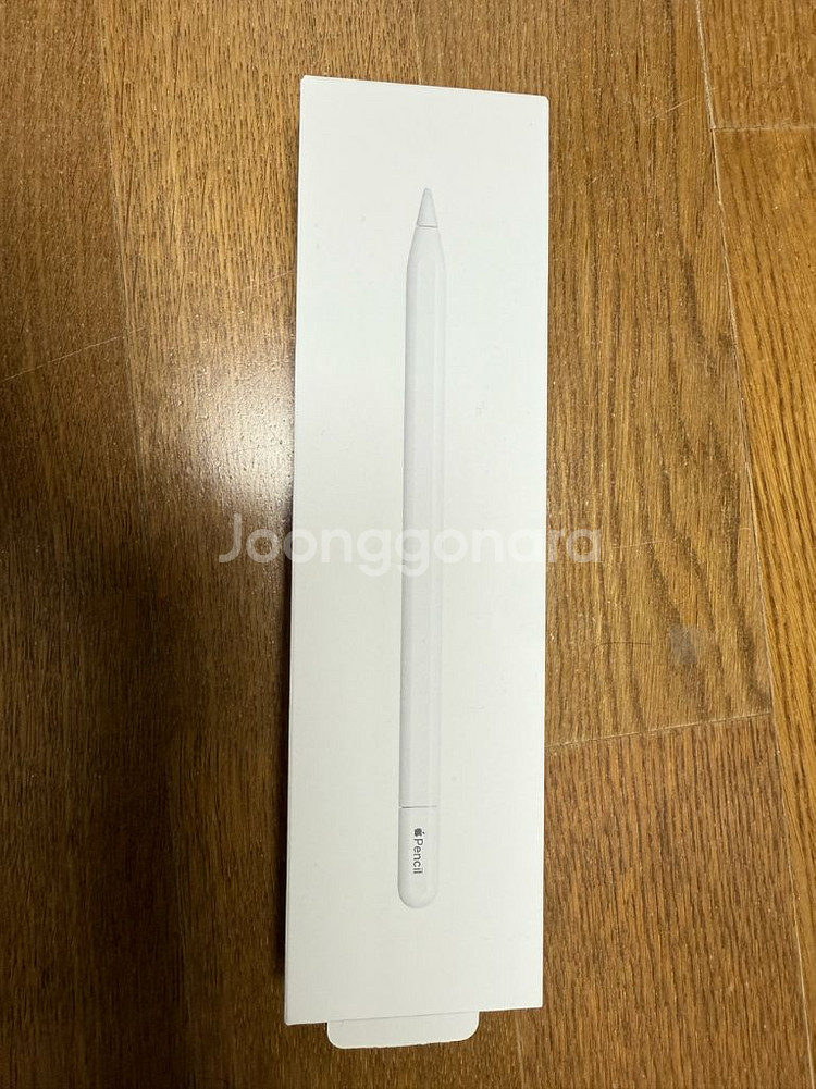 애플 펜슬 USB-C 모델--1