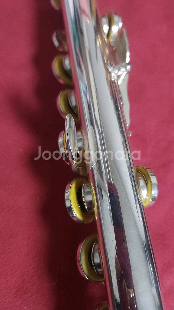 야마하 플룻 f100s2--2