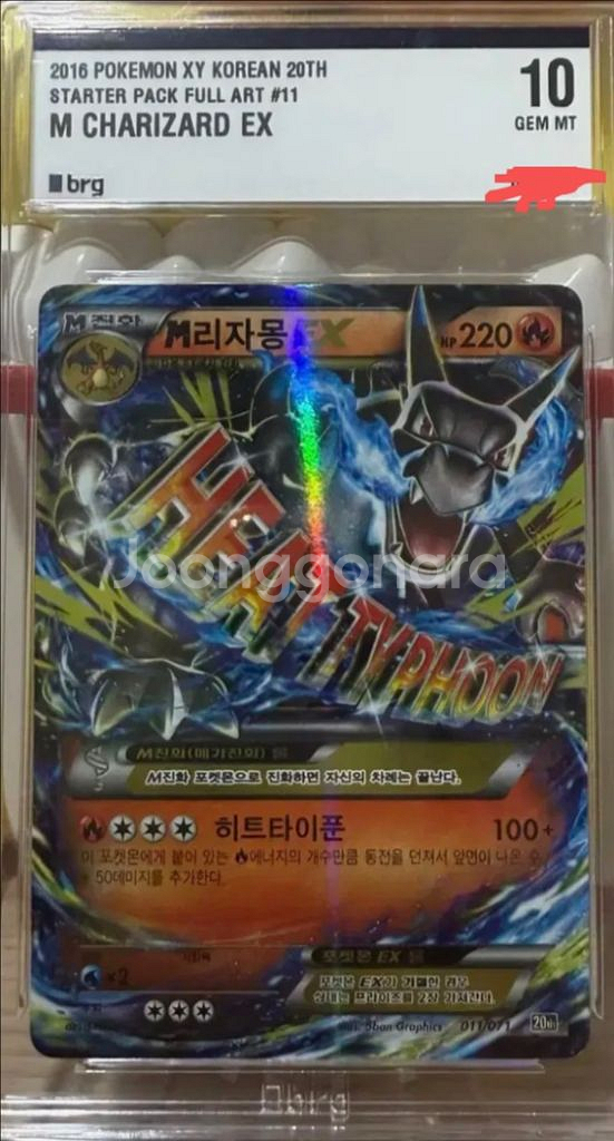 포켓몬카드 brg 10등급--0