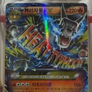 포켓몬카드 brg 10등급