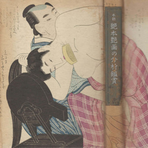 本朝 艶本艶画の分析鑑賞( 본조 염본 염화의 분석 감상 ) 예술 미술 풍속자료 나부 유곽 유녀 누드 미인