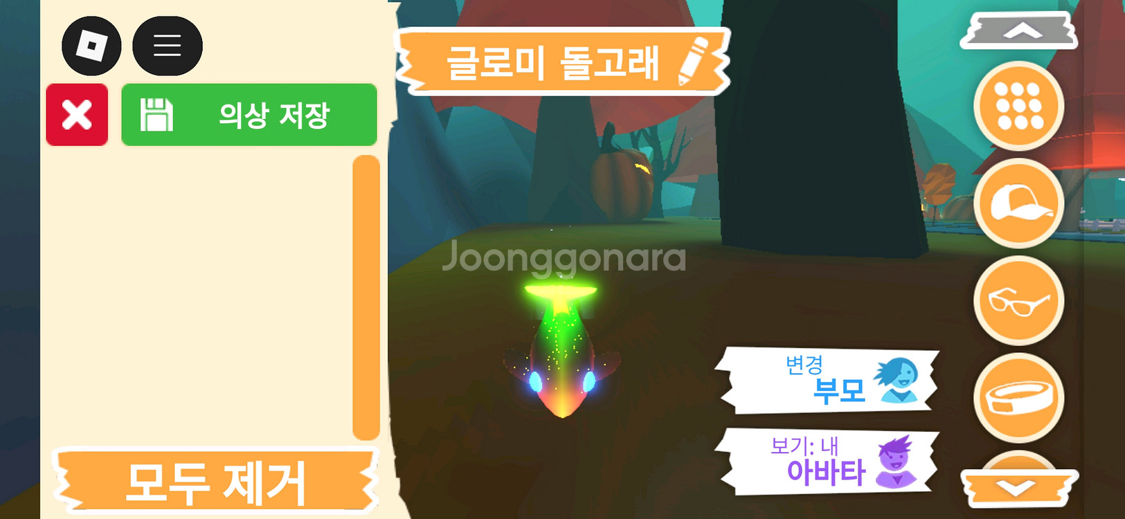 입양하세요 펫 메가네온 글로미 돌고래 판매합니다--0