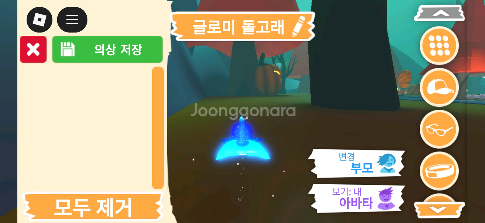 입양하세요 펫 메가네온 글로미 돌고래 판매합니다--5