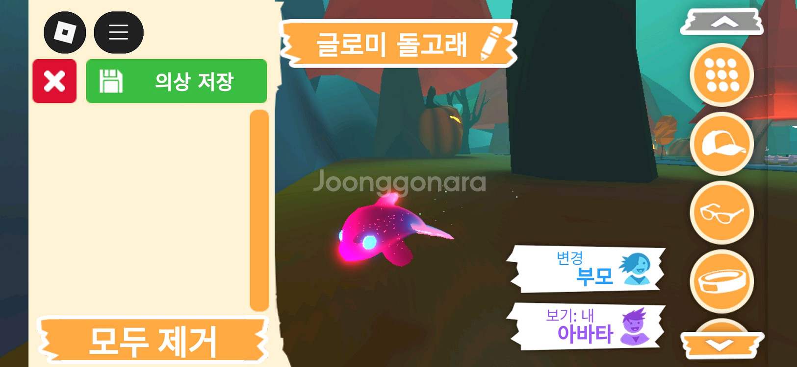 입양하세요 펫 메가네온 글로미 돌고래 판매합니다--3