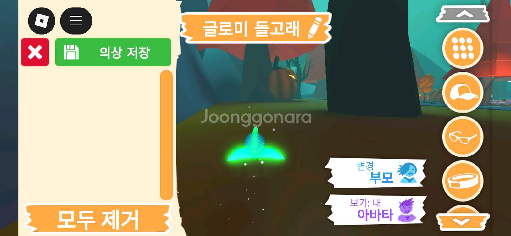 입양하세요 펫 메가네온 글로미 돌고래 판매합니다--4