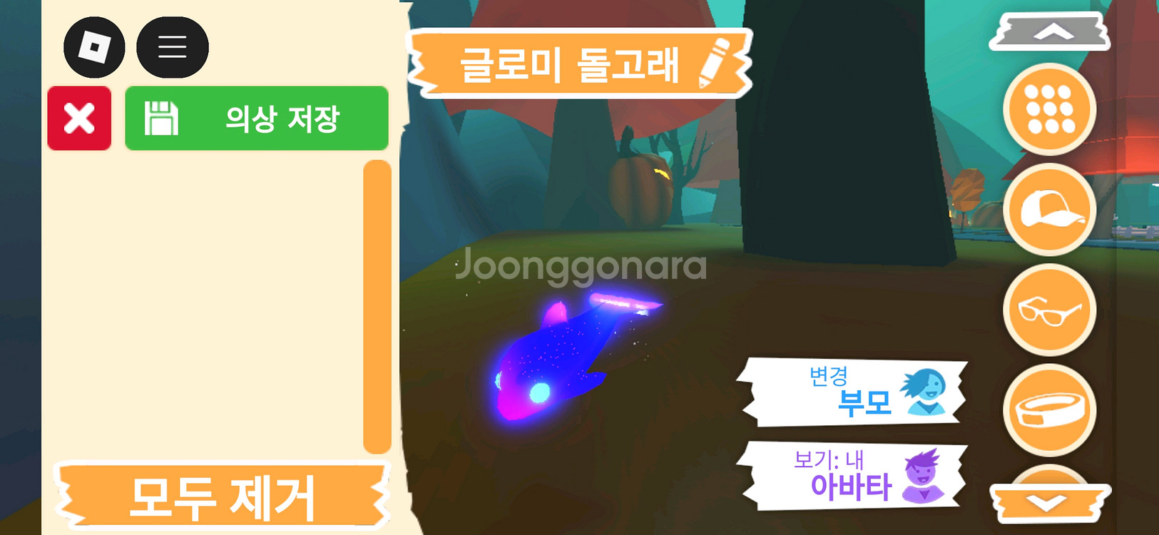 입양하세요 펫 메가네온 글로미 돌고래 판매합니다--2