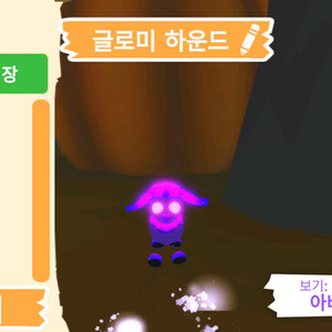 입양하세요 펫 메가네온 글로미 하운드 판매합니다