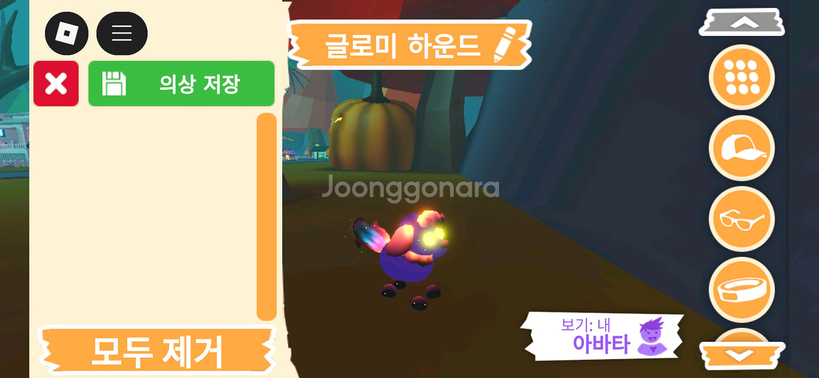 입양하세요 펫 메가네온 글로미 하운드 판매합니다--1