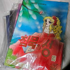 김영숙의 침묵의 성 만화책 세트