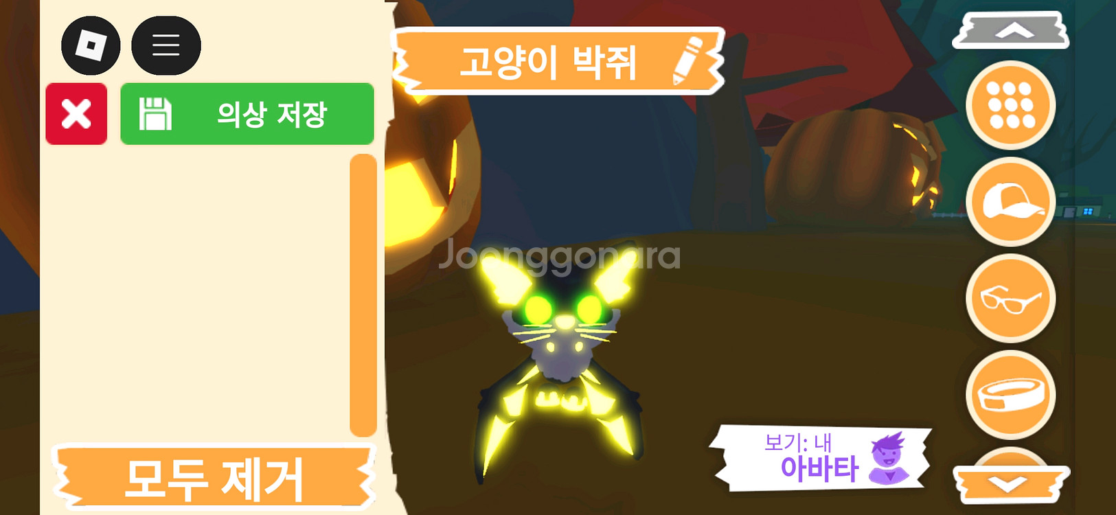 입양하세요 펫 메가네온 고양이 박쥐(메고박)판매합니다--0