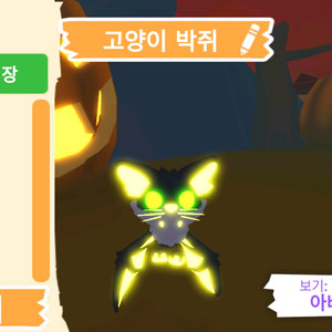 입양하세요 펫 메가네온 고양이 박쥐(메고박)판매합니다